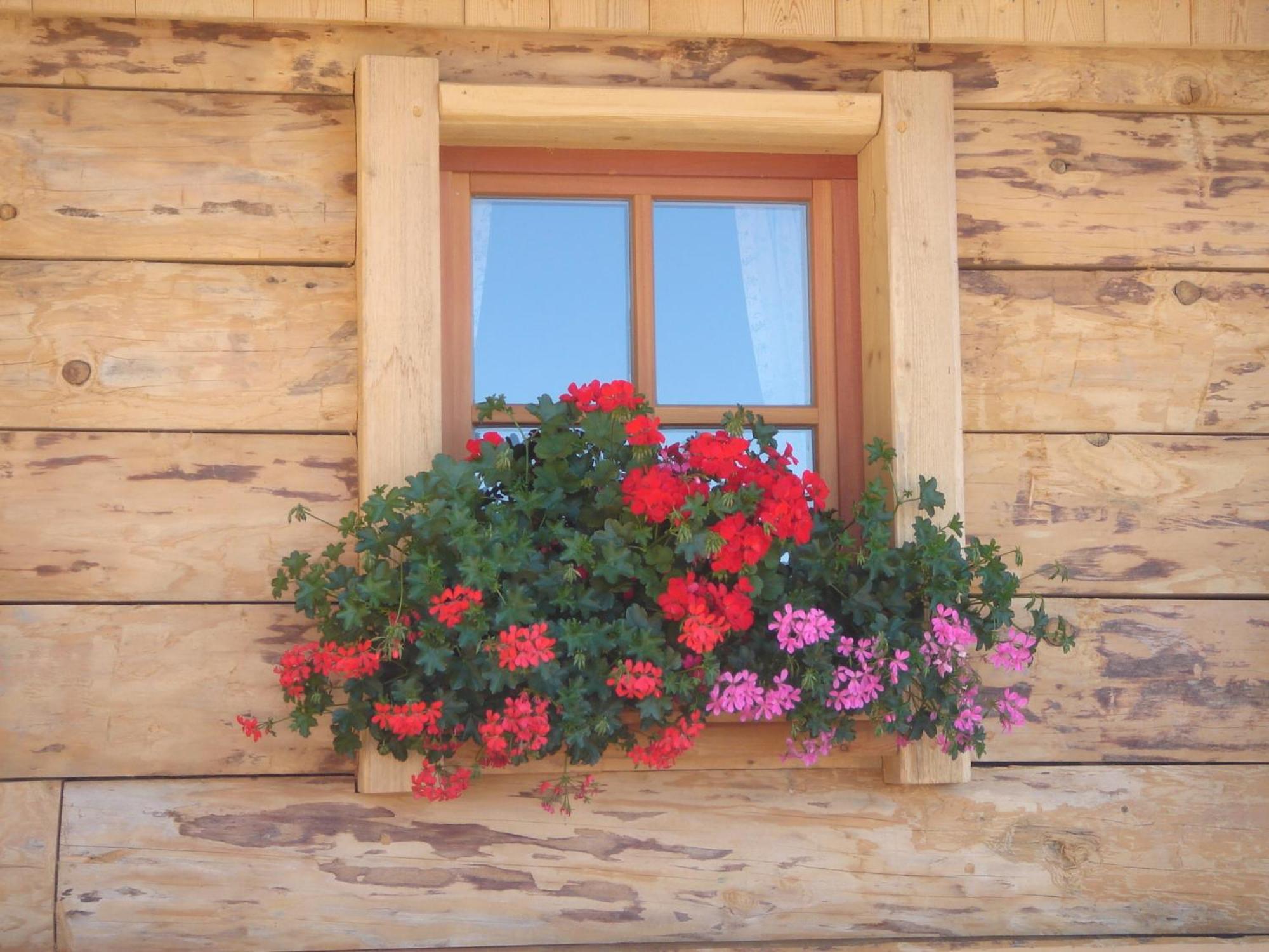 Haus Sonnleitn Sankt Johann im Pongau Exterior photo